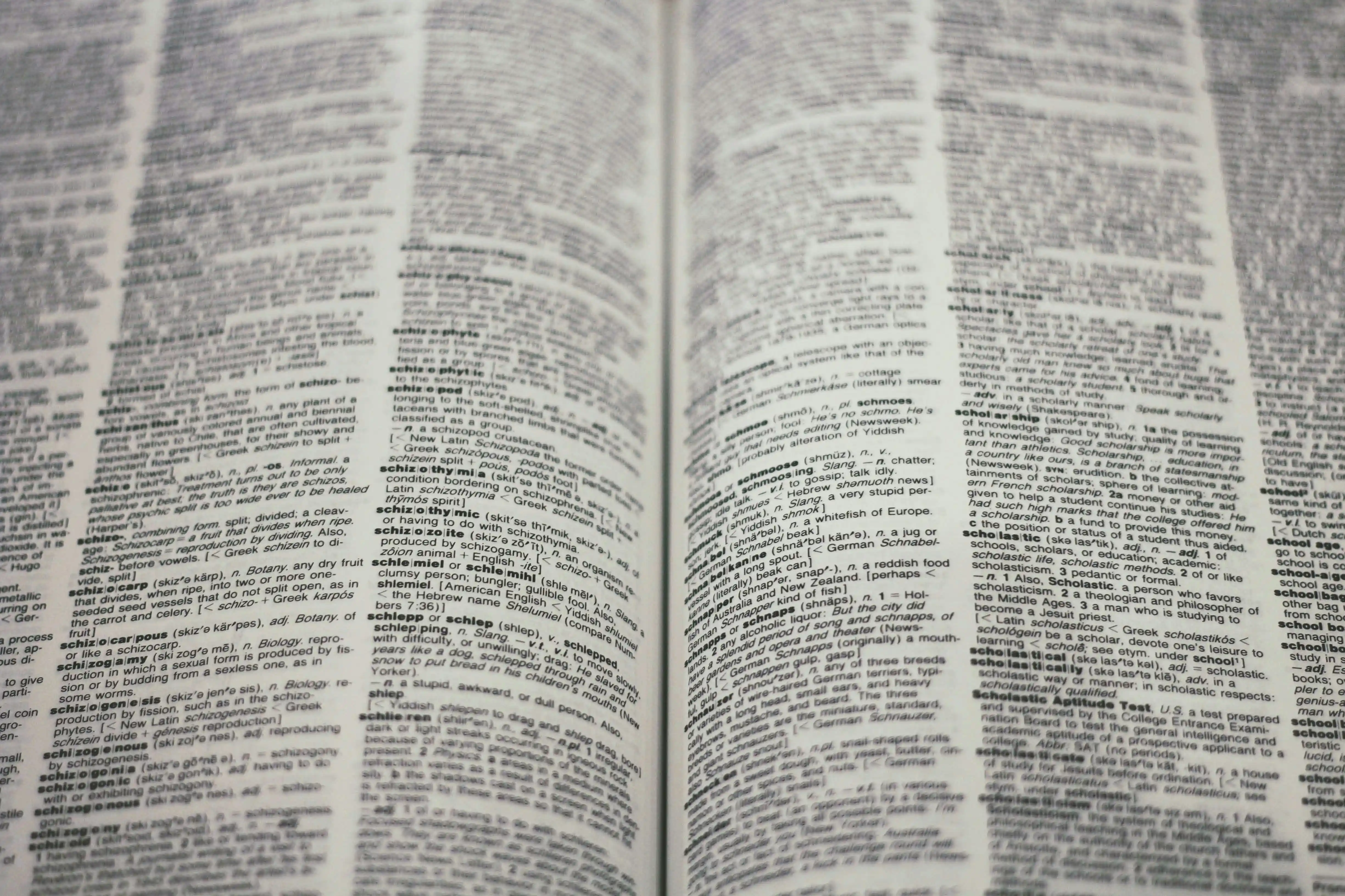 language